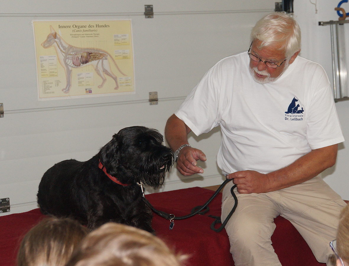 Kinderakademie2015 Dr. Lellbach